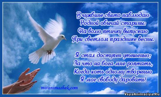 Поздравления с праздником птиц