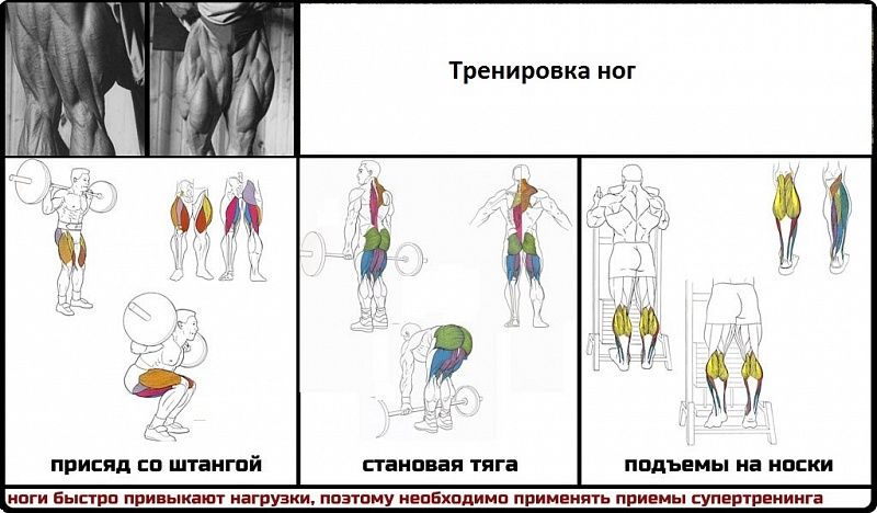 Упражнение для тренировок в домашних условиях