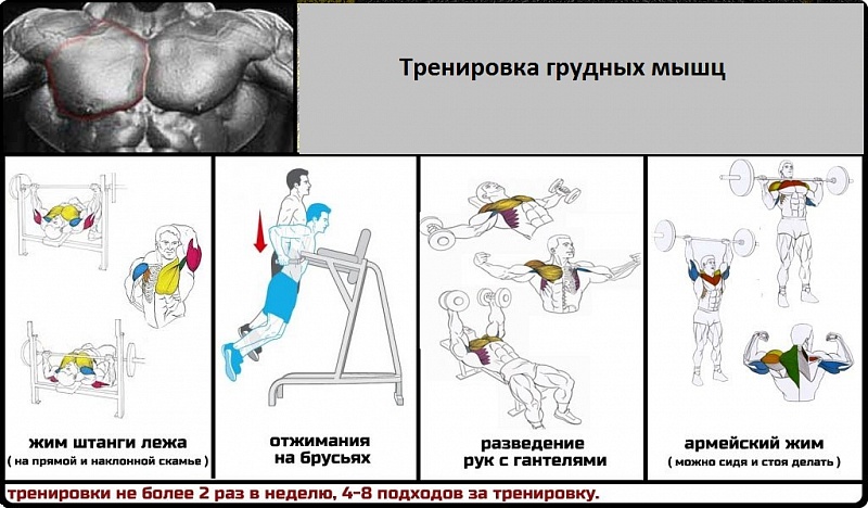 Как увеличить мышцы грудные мышцы в домашних условиях Как увеличить мышцы грудные мышцы в домашних условиях