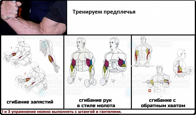 Как в домашних условия на качаться